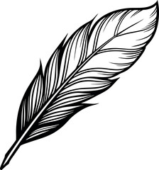 Obraz premium Detailed Line Art Drawing vector silhouette of a Single Bird Feather