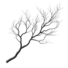 Dry branch PNG tree branch PNG nature PNG dried wood PNG autumn leaves PNG rustic decor PNG transparent background