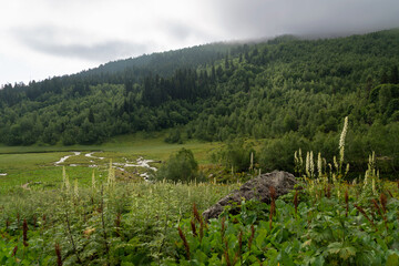 The valley of the Malaya Dukka River surrounded by the mountains of the North Caucasus and the tourist trail to the Dukka Lakes on a sunny summer day, Arkhyz, Karachay-Cherkessia, Russia © Ula Ulachka