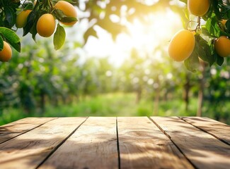 Mango Tree with Wooden Table Setting in Orchard Sunlight