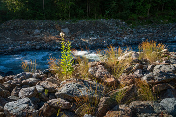 View of the Amanauz River at the foot of the mountains of the North Caucasus near the village of...