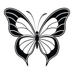 black butterfly on white background