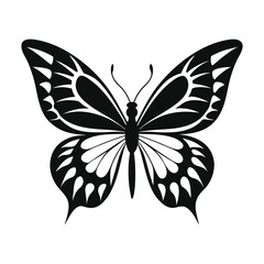 Fototapeta premium butterfly vector on white background
