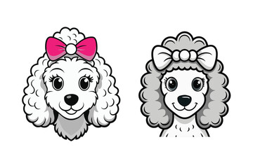 cute poodle illustration vector
