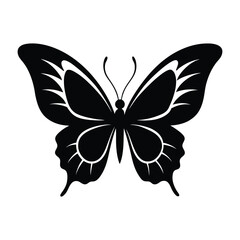 butterfly vector illustration