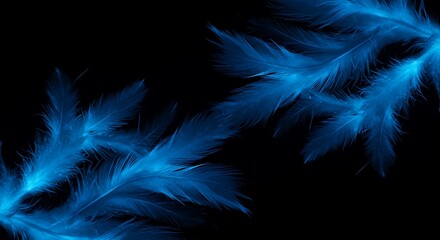 Obraz premium Azure Flight Midnight Feathers Bluebird's Whisper Celestial Plumes Glowing Darkness Night Sky Feathers Electric Blue Embrace Deep Blue Fantasy Neon Feather Dance Azure Dreamscape AI Generated