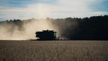 Cultivated fields. Combine harvester in a wheat field. Harvesting on rural farm. Combine harvester...