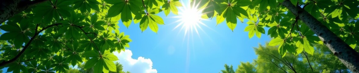 Fototapeta premium Tranquil blue sky peeking through sun-dappled leaves in forest, sunlit, forest