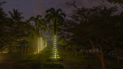 Night time in a tropical park. Rows of tall palm trees along the alley. Decorative illumination on...