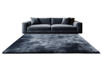 Sofa and Rug Set: An elegant composition showcasing a modern gray sofa set atop a plush matching rug, creating a harmonious and inviting living space aesthetic. 