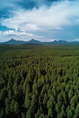 Fototapeta premium Aerial view of dense green forest with mountains 