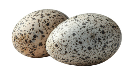 Fototapeta premium Close-up of speckled Eggs: Two speckled eggs, with intricate patterns and textures, displayed against a clean background, conveying the essence of new life and natural beauty. 