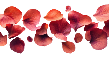 Petal Serenade: A captivating arrangement of delicate, multi-hued flower petals float in a captivating, evoking feelings of serenity and appreciation for nature's artistry.