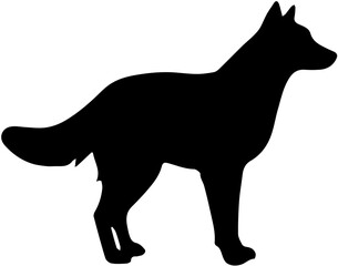 black silhouette of a dog
