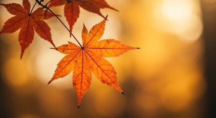 Golden Hour Glow AI Generated