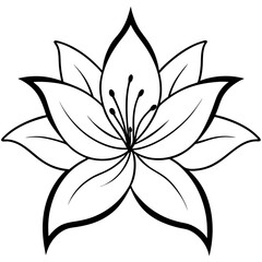 black and white flower