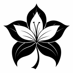 vector black and white flower