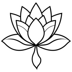 lotus flower isolated on white background