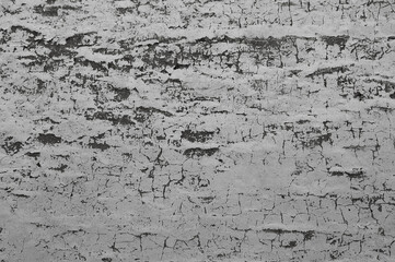 gray background, photo shows texture of gray wall