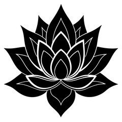 lotus flower vector illustration