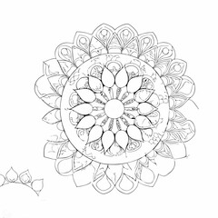 vector illustration of a flower