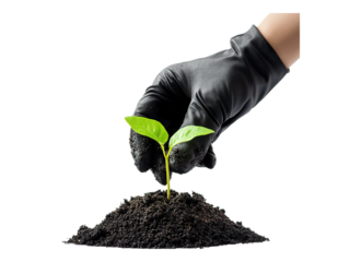 gloved hand with fertilizing seedlings