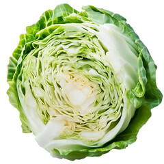 sliced cabbage isolated on transparent png
