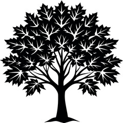 Obraz premium maple-tree-silhouette-vector-illustration-(1).eps