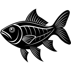 vector illustration of a fish