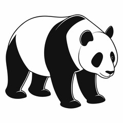 Vector illustration of  Bear 