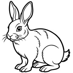 vector illustration of a rabbit