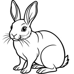 vector illustration of a rabbit