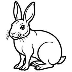 vector illustration of a rabbit