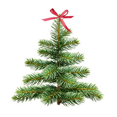 Christmas Tree Design on transparent background