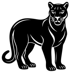 vector illustration of a tiger