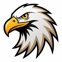 American bald eagle vector illustration