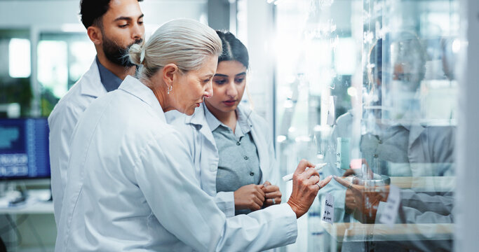 Glass wall, science and people in lab, research and collaboration for experiment. Scientist, group and employees in workplace, cooperation and review chemistry equation with brainstorming and results - Powered by Adobe