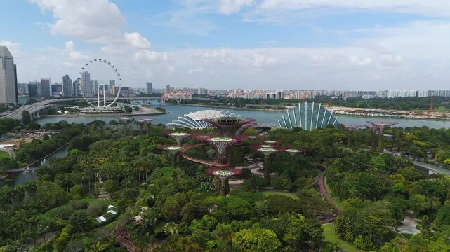 Supertree Grove in Singapore Gardens by the Bay. Aerial dolly in