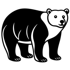 vector illustration of a polar bear