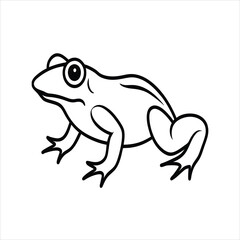Amphibian Frog Line Art Sketch of a Frog in Engraved Style