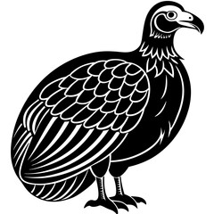 vector illustration of a bird