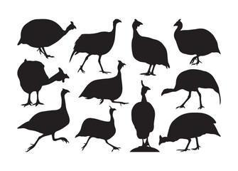 Guinea Fowl vector, Guinea Fowl clipart, Guinea Fowl silhouette