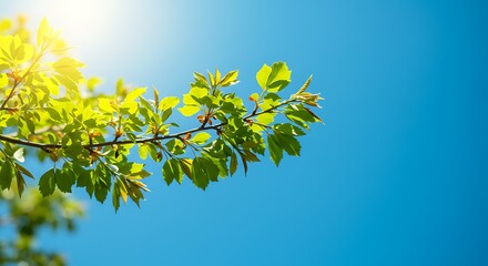 Sunlit Spring Awakening AI Generated