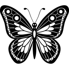 butterfly vector illustration