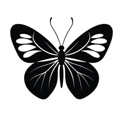 Butterfly silhouette vector illustration