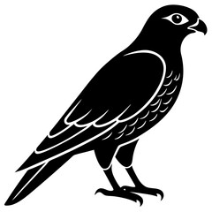 vector illustration of a bird