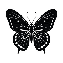 Butterfly silhouette vector illustration