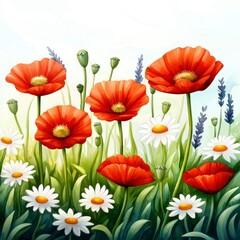 Fototapeta premium Vibrant Poppies and Daisies in a Summer Meadow