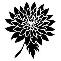 black and white flower