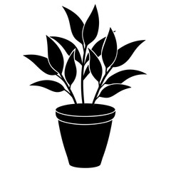 vector illustration of a plant